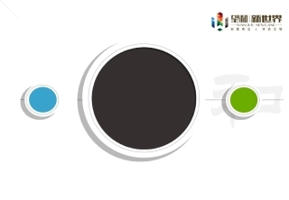 XXXX年望和新世界项目组营销大纲