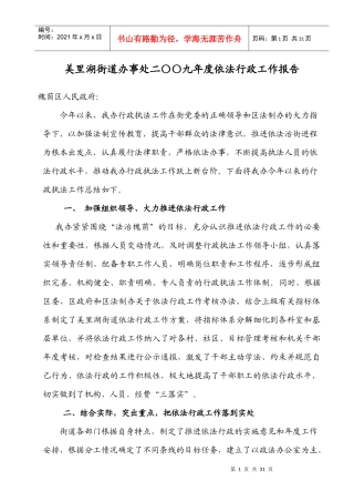XXXX依法行政工作报告