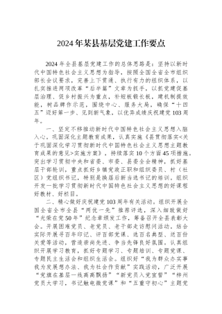 2024年某县基层党建工作要点