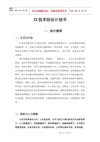 XX技术创业计划书(doc52)