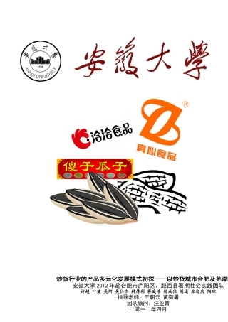 XXXX炒货行业策划书完整版