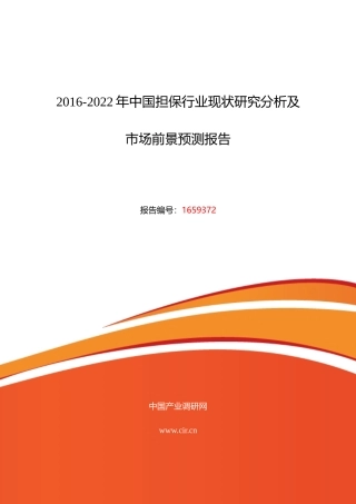 XXXX年担保现状及发展趋势分析