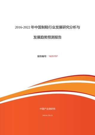 XXXX年制鞋调研及发展前景分析