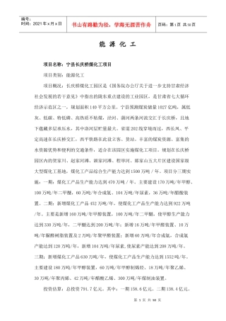 XXXX招商引资项目单