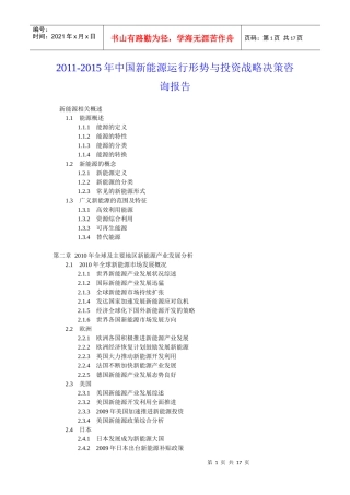 XXXX年中国新能源运行形势与投资战略决策咨询报告