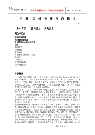 XX年和静县项目册