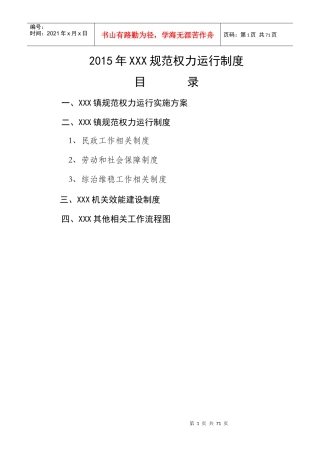 XXXX年规范权力运行制度