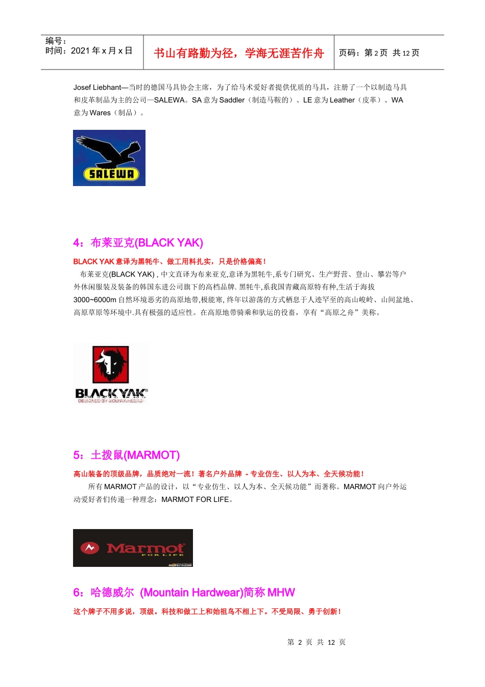 XXXX户外品牌排名_第2页