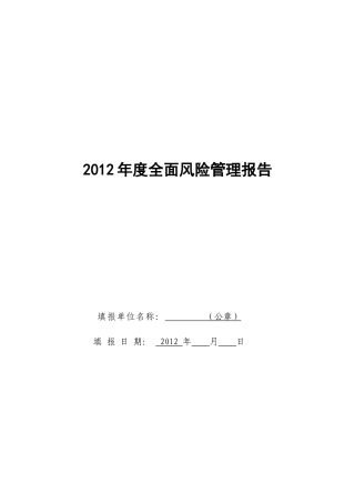 XXXX年度全面风险管理报告