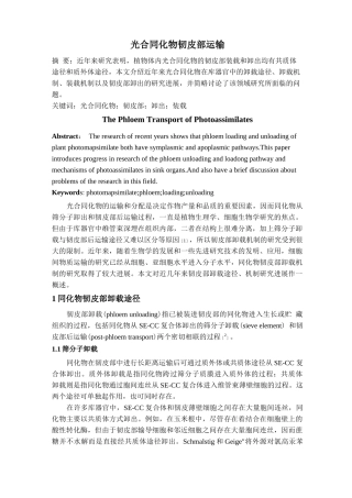 光合同化物运输