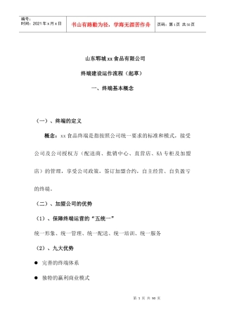 xx公司终端建设运作流程