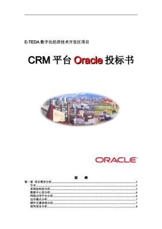 Oracle投标书及项目需求