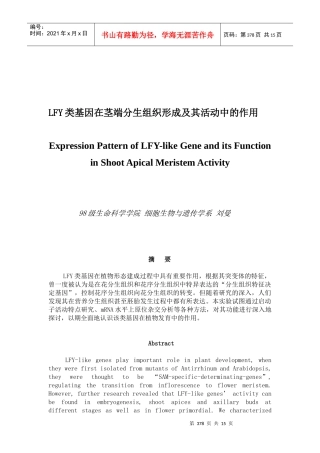 LFY类基因在茎端分生组织形成中的作用