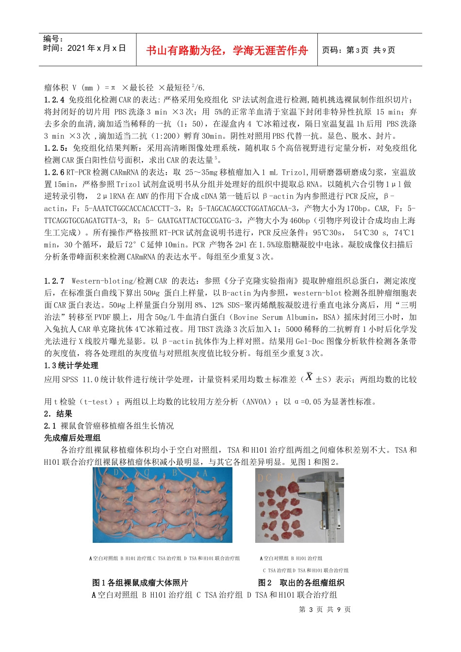 TSA联合基因工程腺病毒 H101治疗人食管癌裸鼠皮下移植瘤的研究_第3页