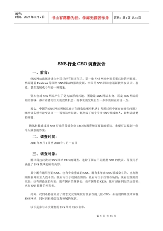 SNS行业有关CEO的调查报告