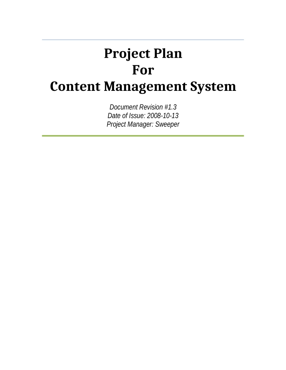 IT项目开发项目计划(英文)_第1页