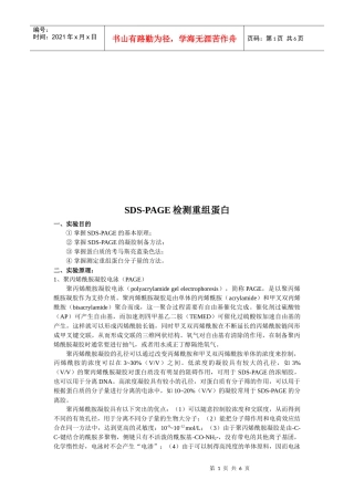 SDS-PAGE检测重组蛋白实验