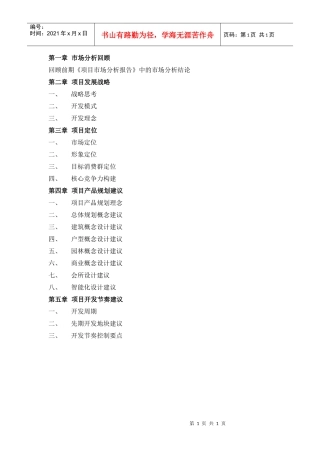 R007项目产品策划报告范本