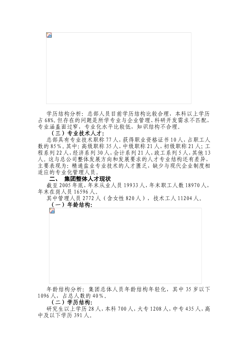 中国盐业总公司“两步走”发展战略子战略——之人力资源战略_第2页