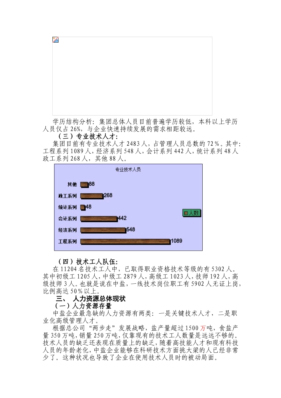 中国盐业总公司“两步走”发展战略子战略——之人力资源战略_第3页