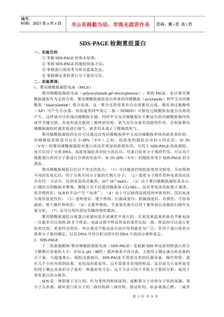 SDS-PAGE检测重组蛋白