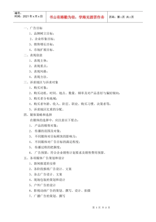 R013项目广告创作方案范本