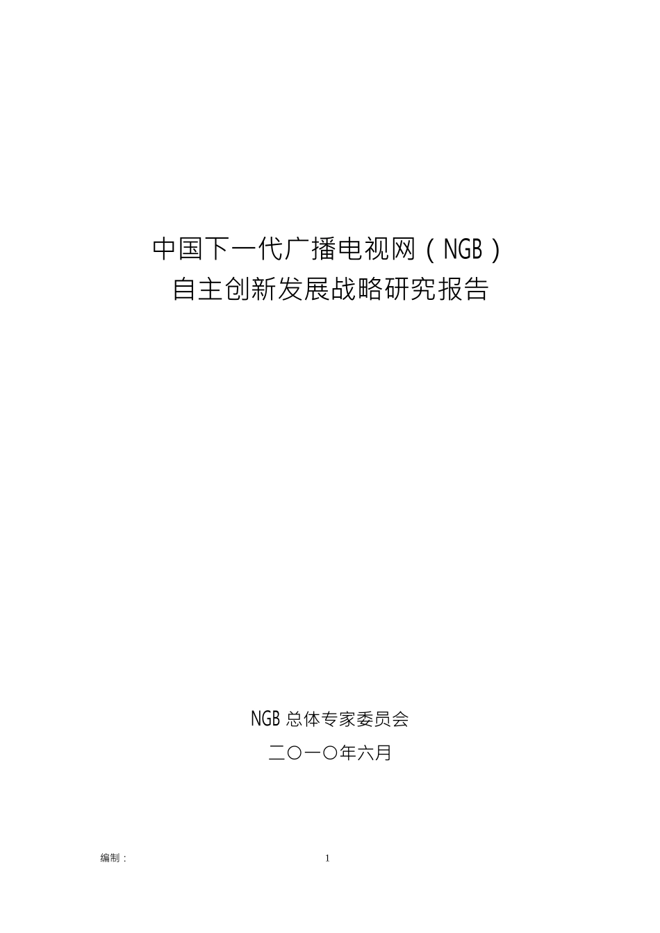 NGB自主创新战略研究报告_第1页