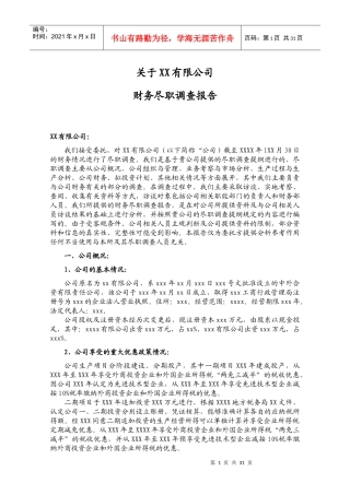PEVC财务尽职调查报告参考范本