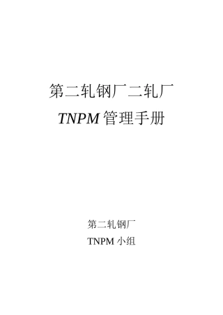 tnpm管理制度