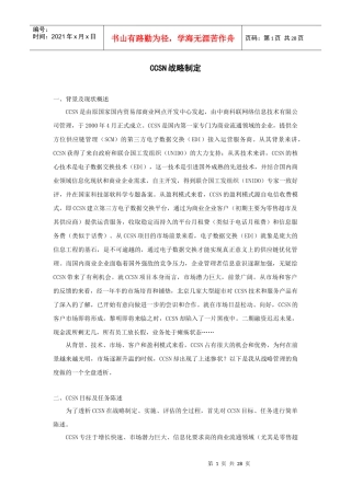 CCSN战略制定