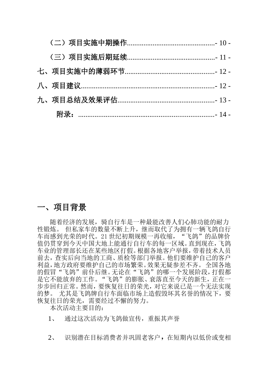 自行车重振青岛市场促销活动实施报告_第2页