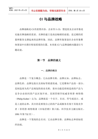 CI与品牌战略管理方案分析