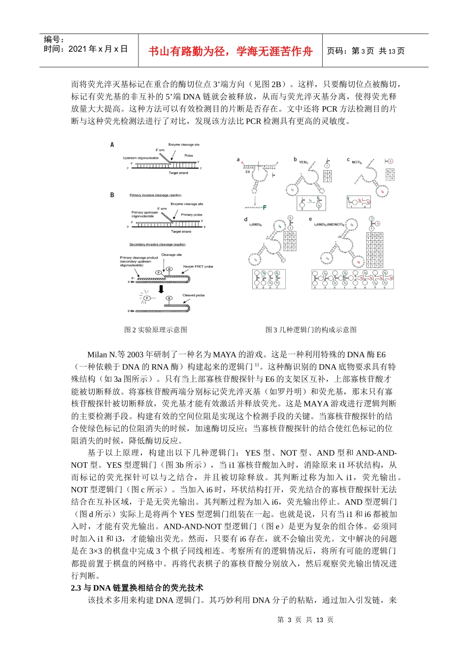 DNA计算中荧光技术的应用及其发展_第3页