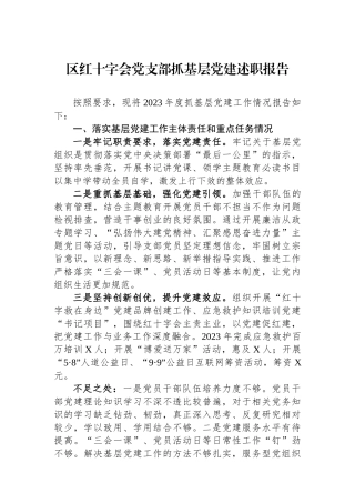 区红十字会党支部抓基层党建述职报告
