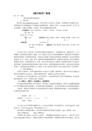 《微生物学》教案
