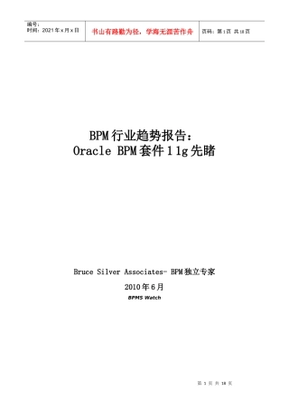 BPM行业趋势报告