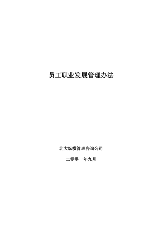 BDZH公司--员工职业发展管理规范