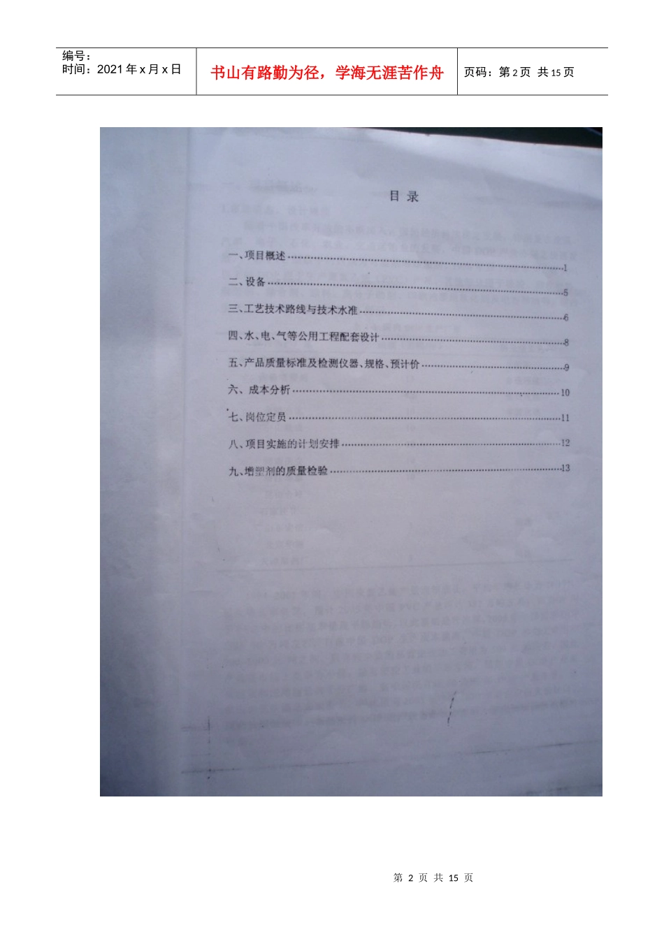 DOP可行性报告样本_第2页