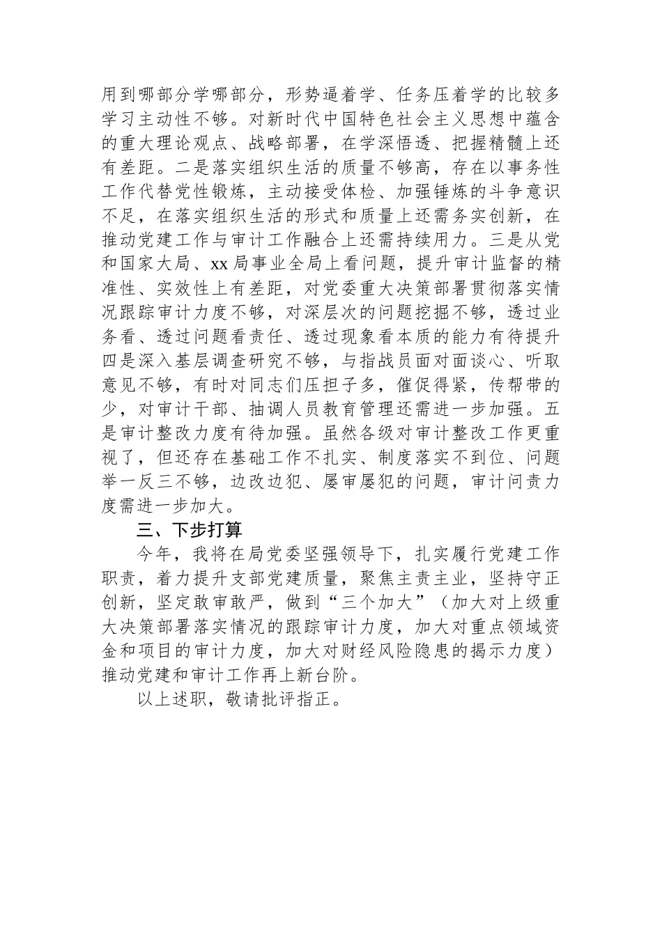 审计室党支部书记抓党建述职报告_第3页