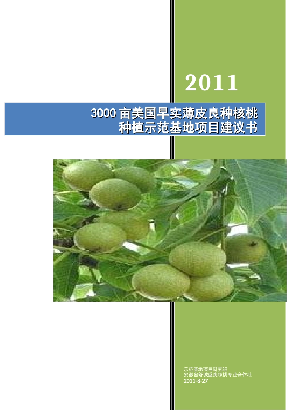 优质薄皮核桃基地项目建议书范本_第1页