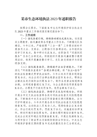 某市生态环境执法2023年述职报告