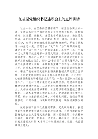 在基层党组织书记述职会上的点评讲话