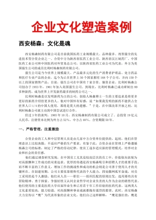 企业文化塑造案例