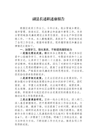 副县长述职述廉报告