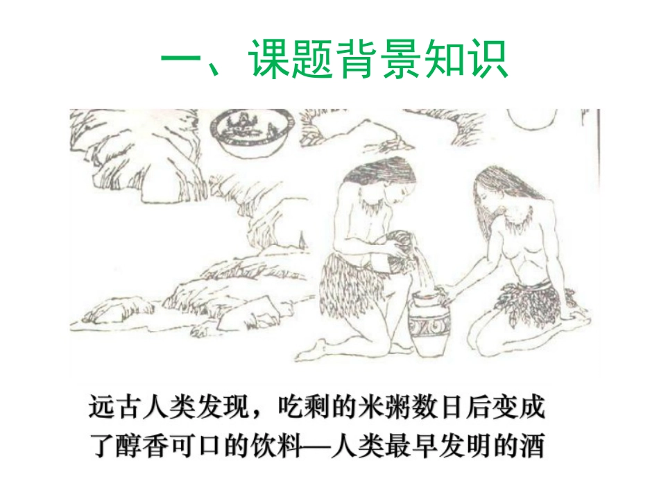 (公开课)果酒的制作_第2页