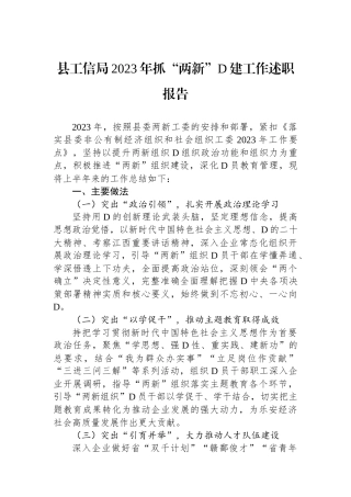 县工信局2023年抓“两新”党建工作述职报告