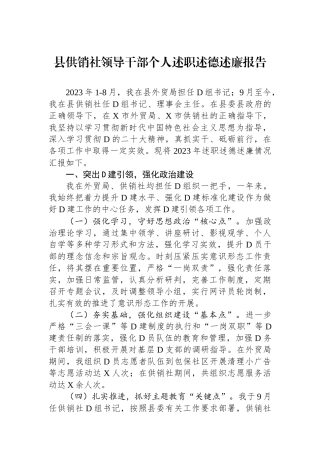 县供销社领导干部个人述职述德述廉报告