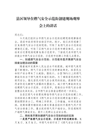 县区领导在燃气安全示范街创建现场观摩会上的讲话