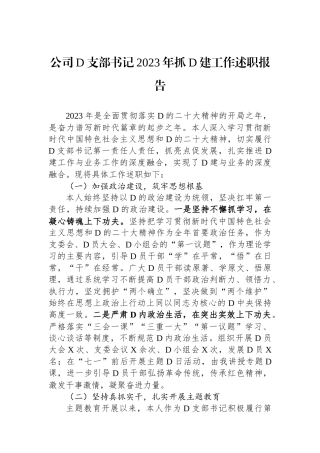 公司党支部书记2023年抓党建工作述职报告