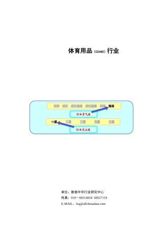 体育用品行业研究报告